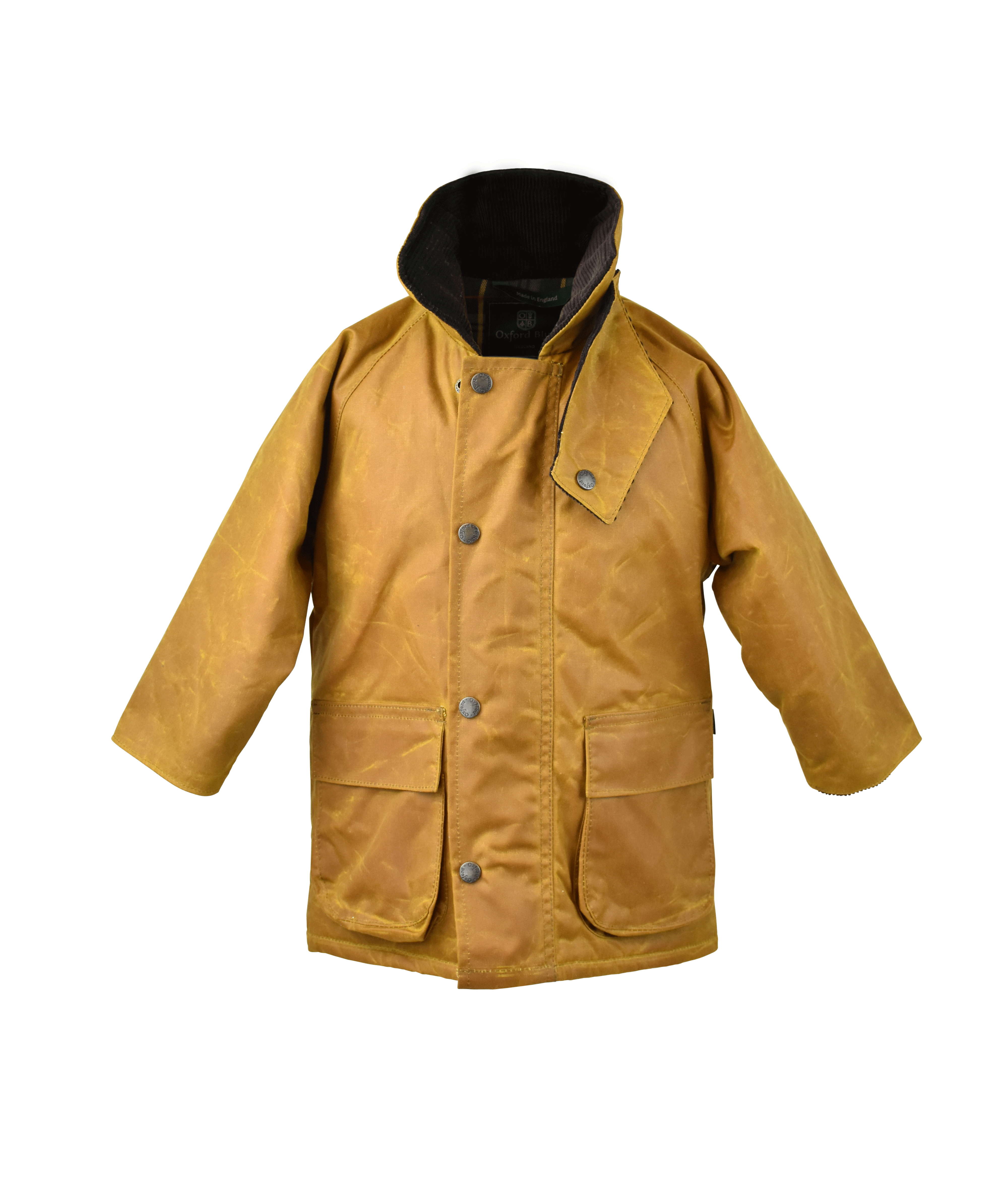 KW18K - Junior Knightsbridge Wax Jacket - GOLD