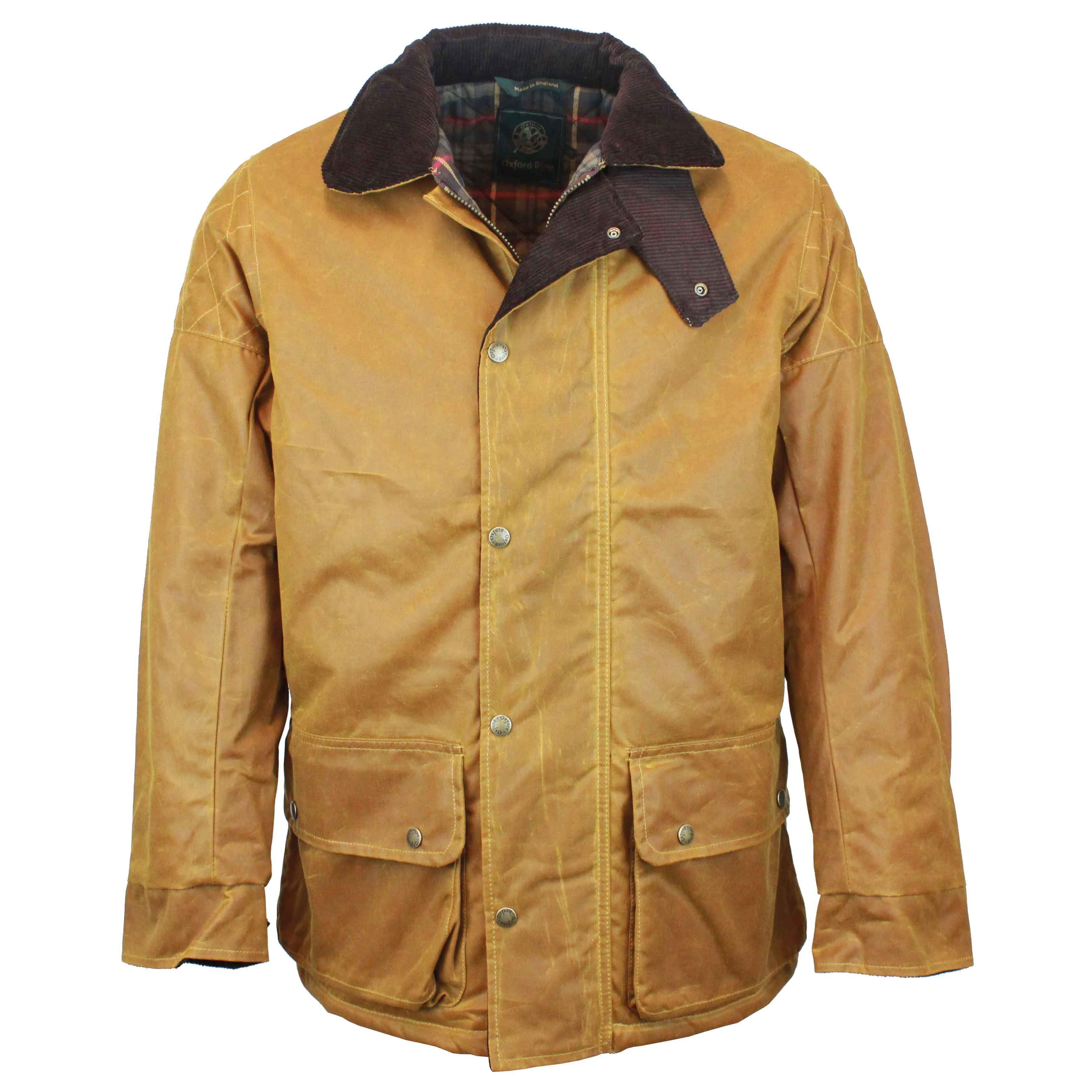 W212 - Men's Chelsea Padded Wax Antique Coat - GOLD - Oxford Blue